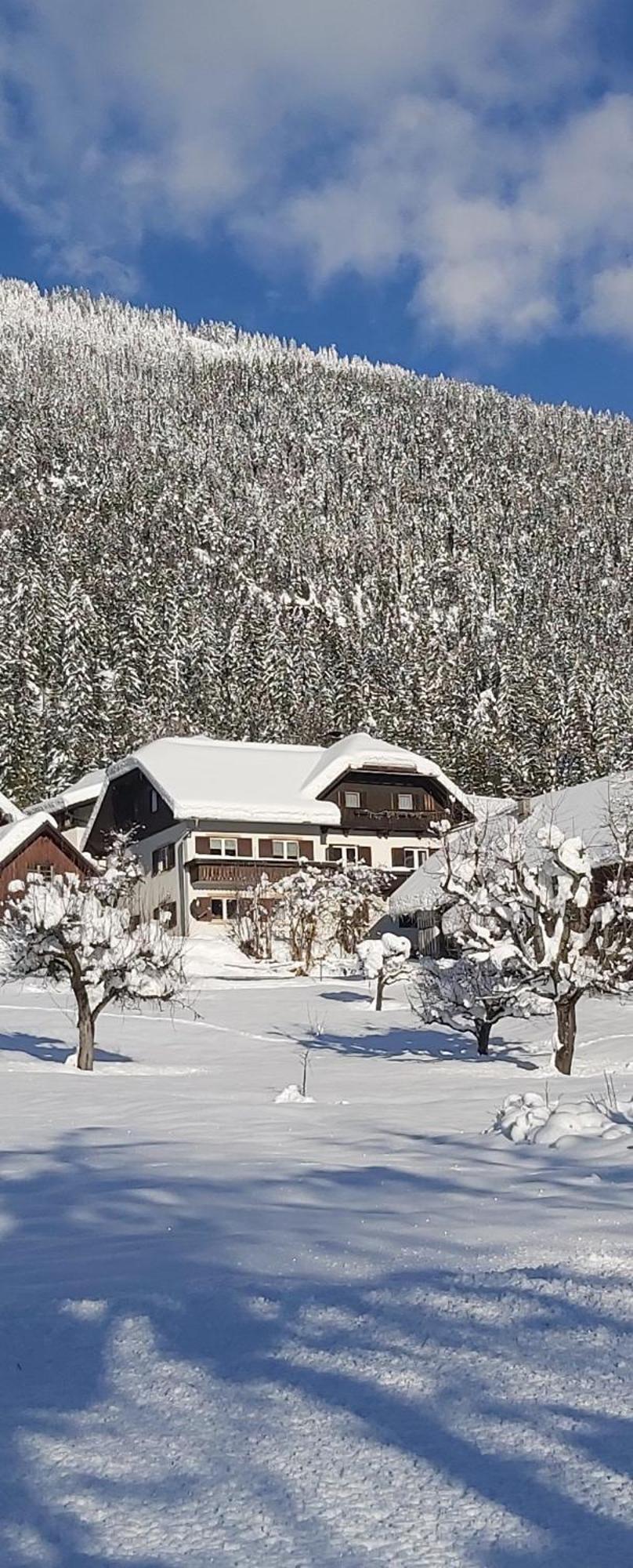 Haus Binder Apartman Weissensee Kültér fotó