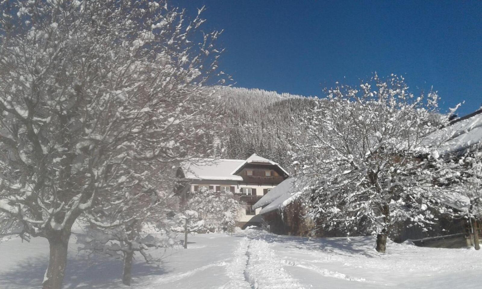 Haus Binder Apartman Weissensee Kültér fotó